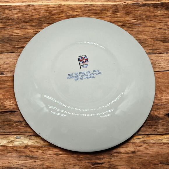 Weatherby Royal Falcon Vintage Decorative Spring Summer 8.5" Floral Green Plate - Picture 10 of 11